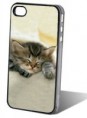 /album/cover-iphone-4-4s1/gattino-jpg1/